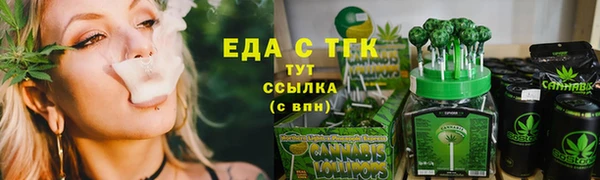 соль ск Дмитриев