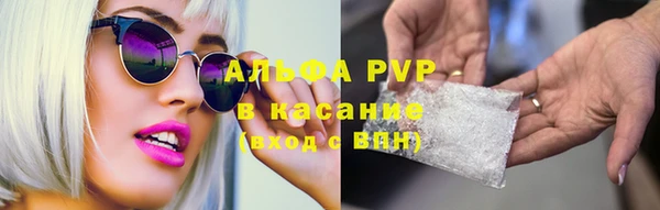 соль ск Дмитриев
