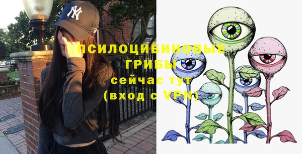соль ск Дмитриев