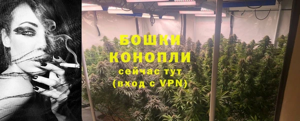 соль ск Дмитриев