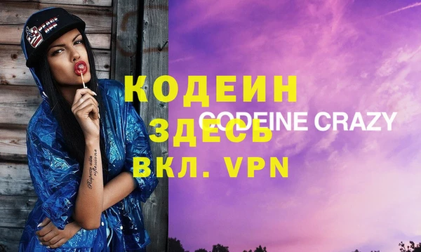 соль ск Дмитриев