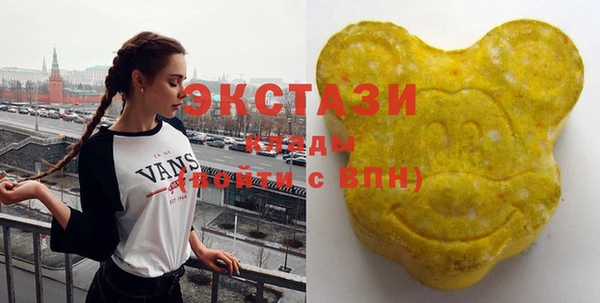 соль ск Дмитриев
