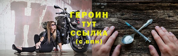 соль ск Дмитриев