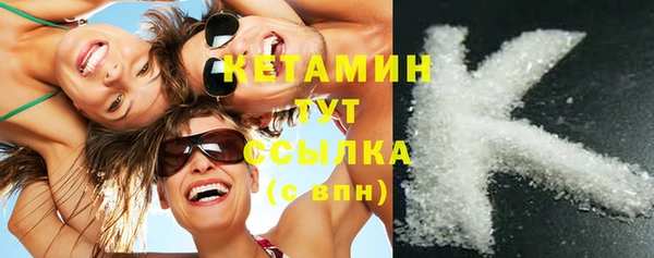 соль ск Дмитриев