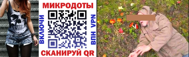 Купить закладки  Красный Кут  Галлюциногенные грибы прущие грибы 
