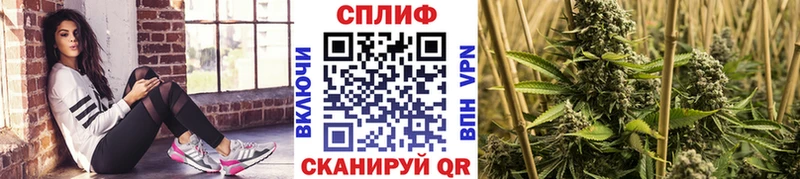 Шишки марихуана семена  Купить  Красный Кут 